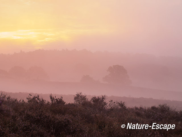 Zonsopkomt, opkomende zon, Posbank, Nationaal Park Veluwezoom 2 230814