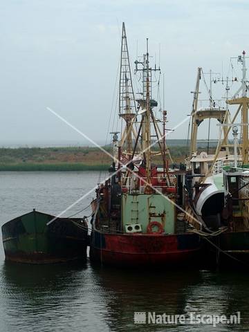 Vissersschepen oude haven Den Oever
