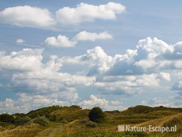 Duinlandschap met wolkenlucht, NHD Bergen 1 310709