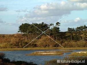 Bij het Vogelmeer NPZK2