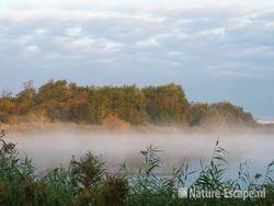 Hoefijzermeer, in ochtendmist, NHD Castricum 4 260909